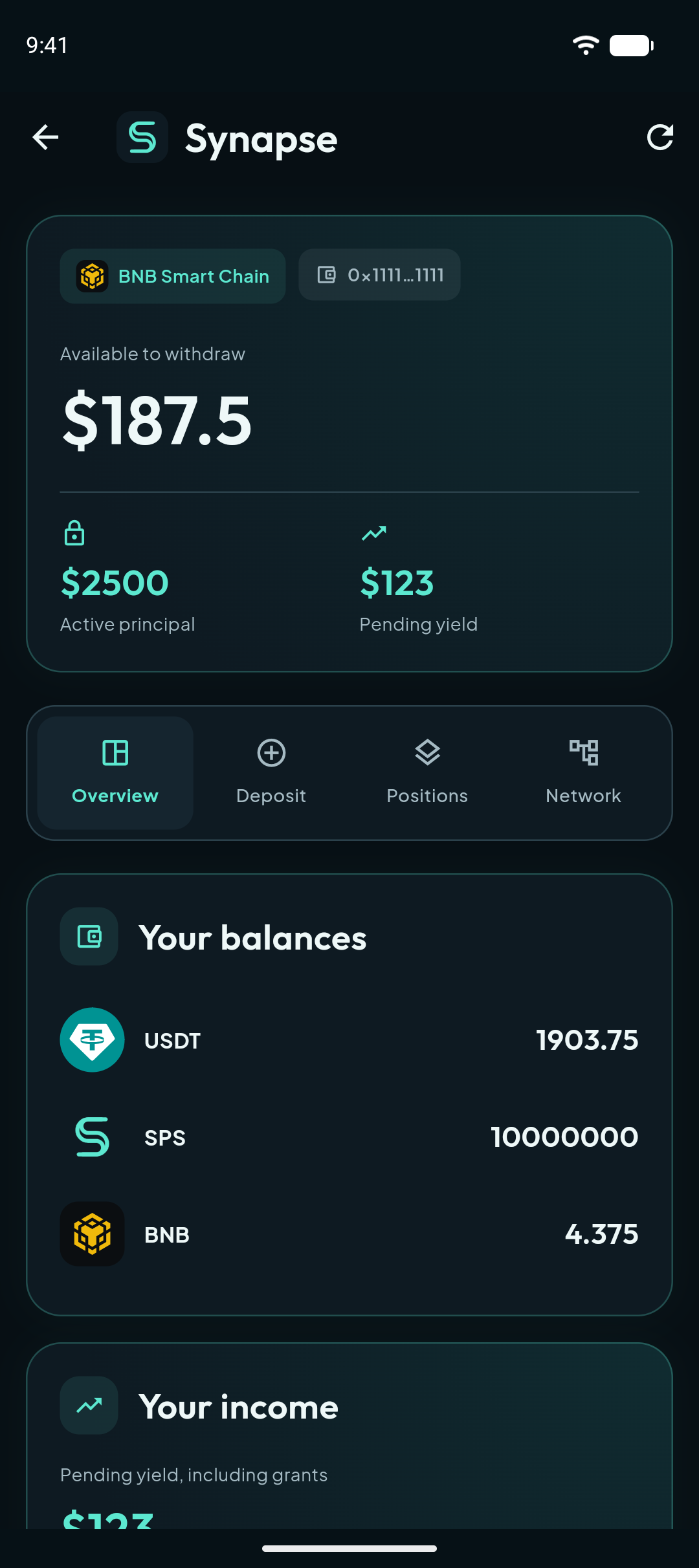 Native Synapse dashboard with deposits and positions